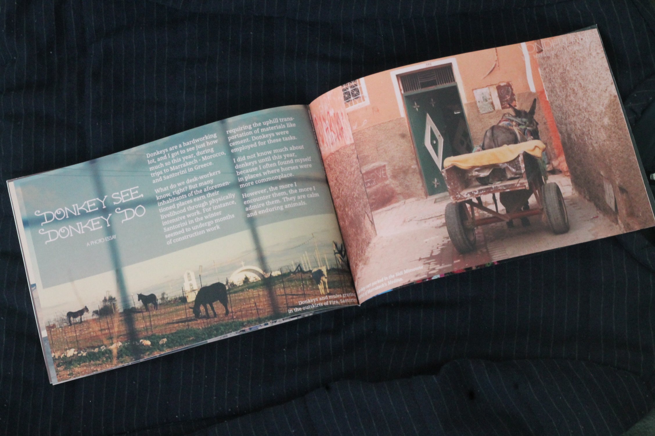 Books and Publications